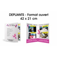 DEPLIANT 42 X 21 CM